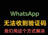 whatsapp无法送达对方手机-whatsapp 无法发送sms短信