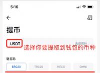 关于中国如何下载usdt钱包的信息