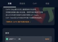 包含USDT转到钱包已经收到了,为什么还会被转走的词条