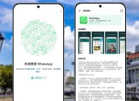 下载whatsapp怎么用不了-为什么下载whatsapp不能用