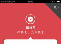 信用钱包app-信用钱包APP之前的图标