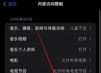 苹果手机app安装下载到桌面-苹果手机app安装下载到桌面上