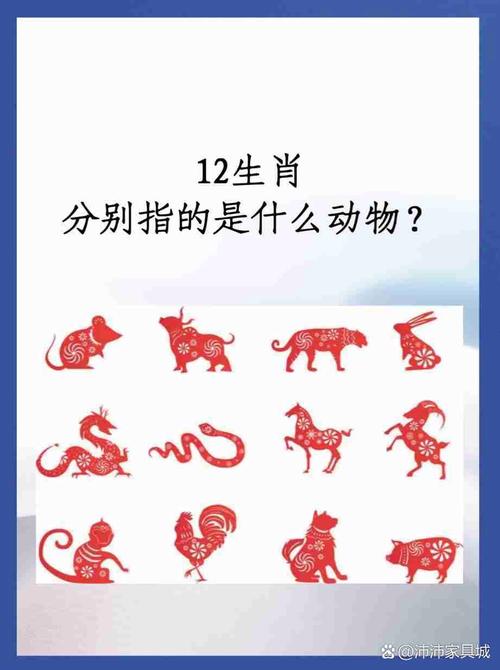 今期动物排第二是哪个生肖-今期生肖排第一是指什么生肖