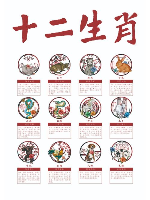 今期生肖排第一的动物-今期生肖排第一是指什么生肖