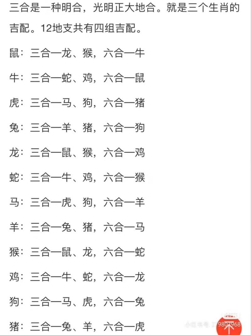 今期生肖是高手什么生肖呢图片-今期生肖是高手什么生肖呢图片视频