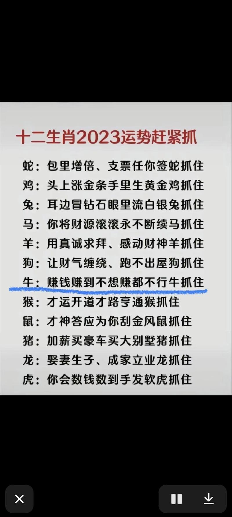 今期生肖谈事情生肖6个-今期生肖要分清是什么生肖
