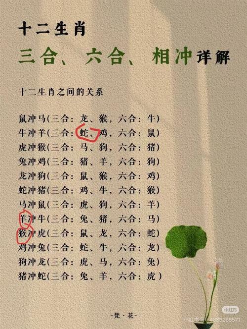 什么生肖最大打一生肖-十二生肖中哪个生肖最大?