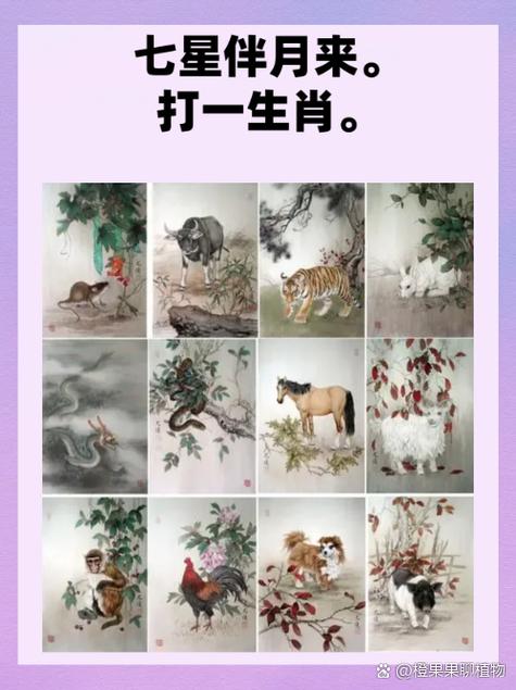 单身兔打一生肖-单身兔打一生肖数字