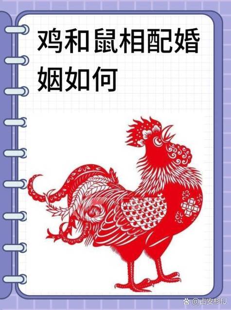 今期双数为你争是什么属相的简单介绍