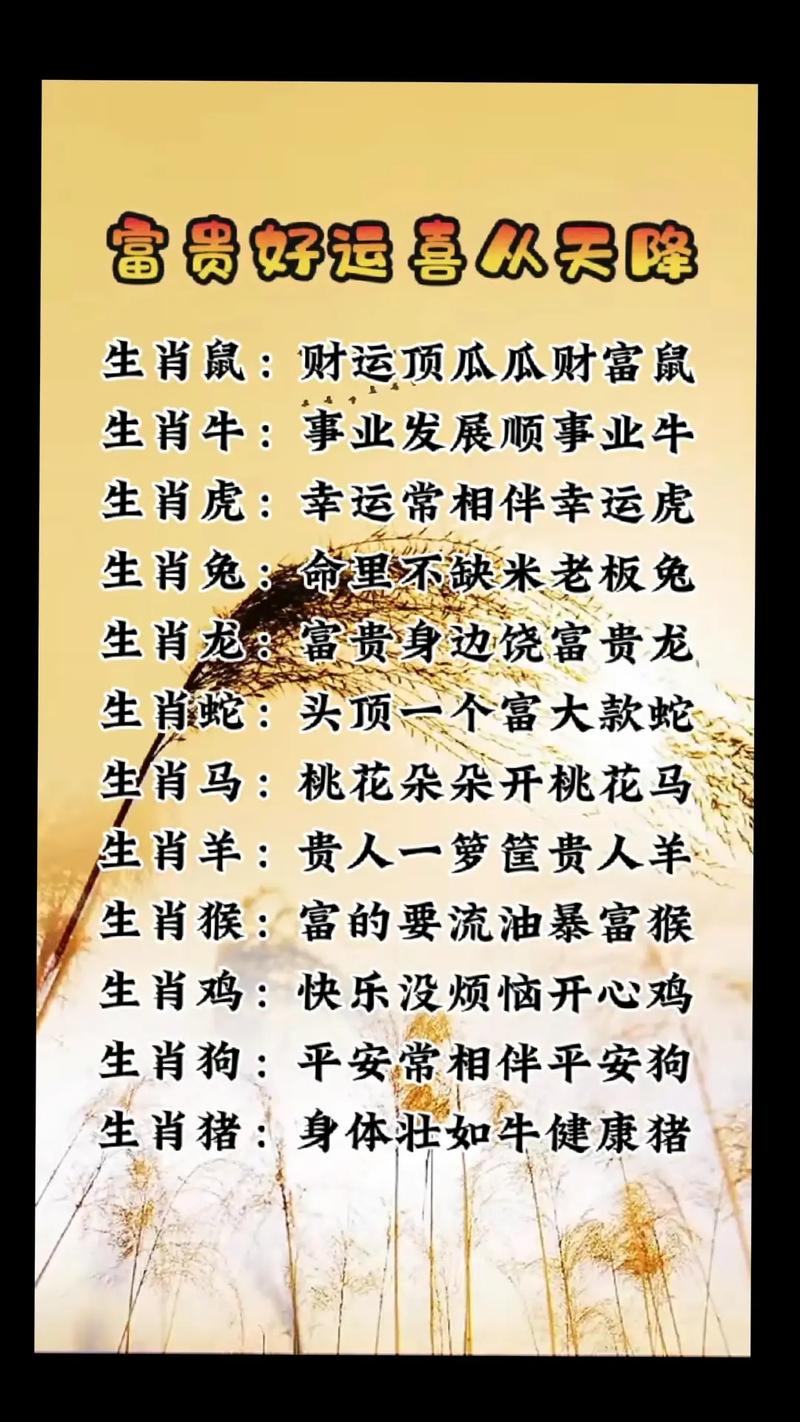 好合今期开最佳生肖答案-好马今期走在先,各有特色守本期