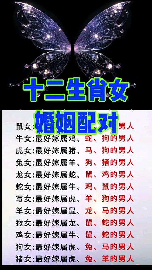 今期生肖找美女正确答案是-今期生肖找美女是什么生肖啊