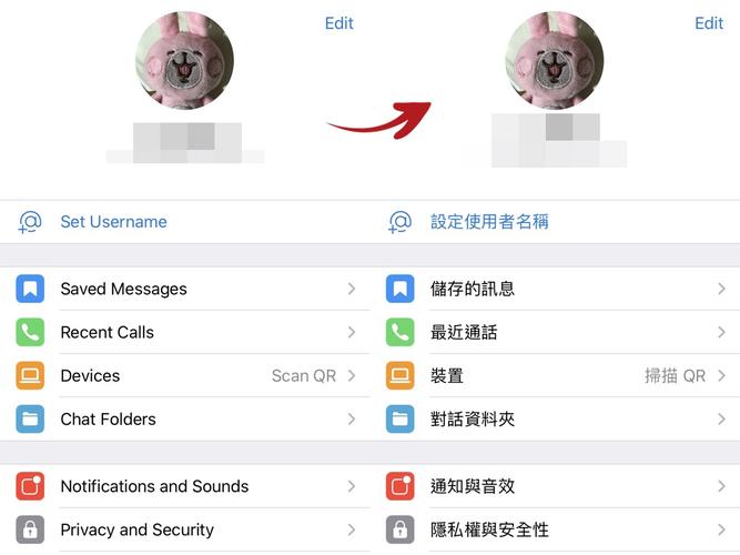 telegraph中文版官方版-download telegraph