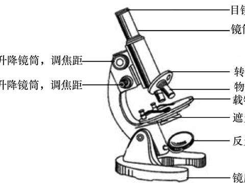 microscope怎么记忆的简单介绍