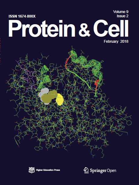 [protein]proteins