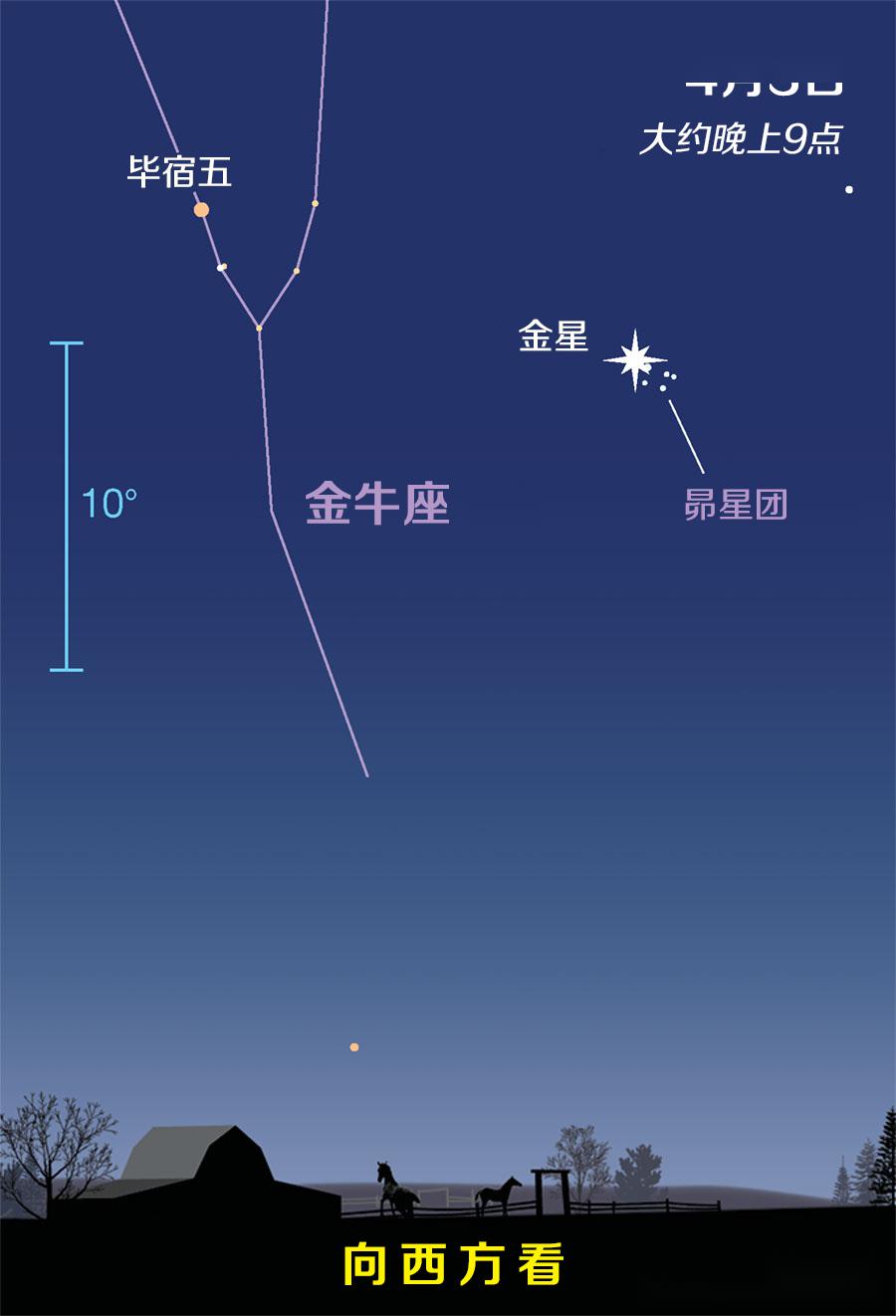 telescope怎么读什么意思的简单介绍