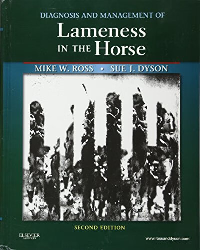 [lameness]lameness音标