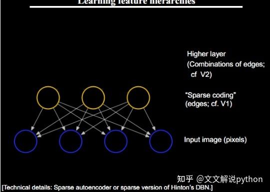 关于telegameorg的信息