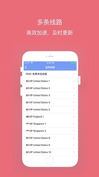 [蜜蜂加速器app官网下载]黑豹vp永久免费加速器下载