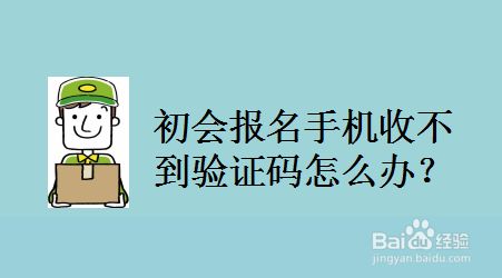 注册纸飞机接不到验证码-注册纸飞机接不到验证码怎么办