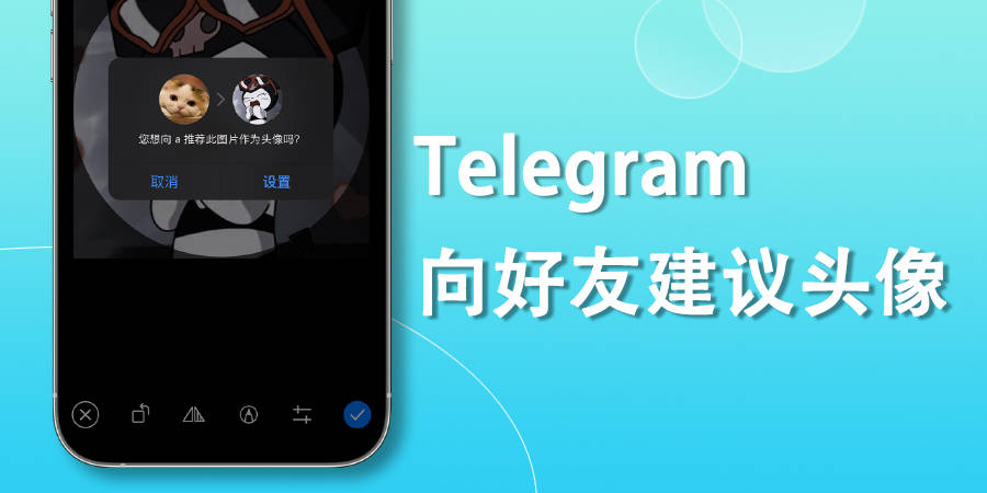 telegeram怎么搜索黄油-telegram怎么搜索添加好友