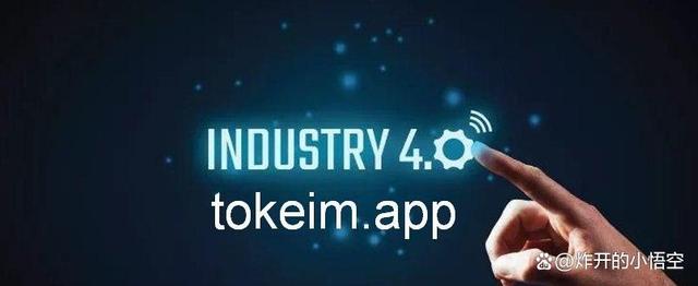 [imkoken多链钱包安全吗]多链钱包 tokenpocket