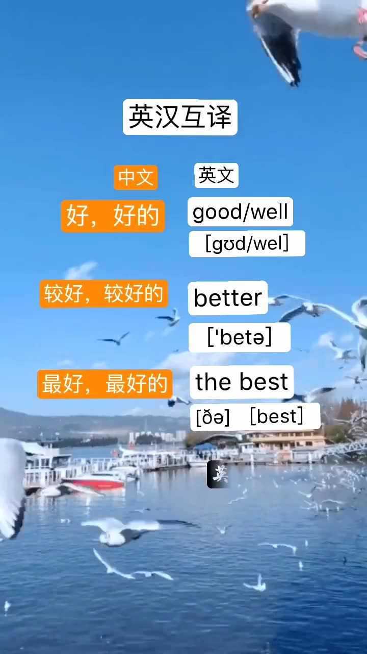 英汉互译翻译-英汉互译翻译app