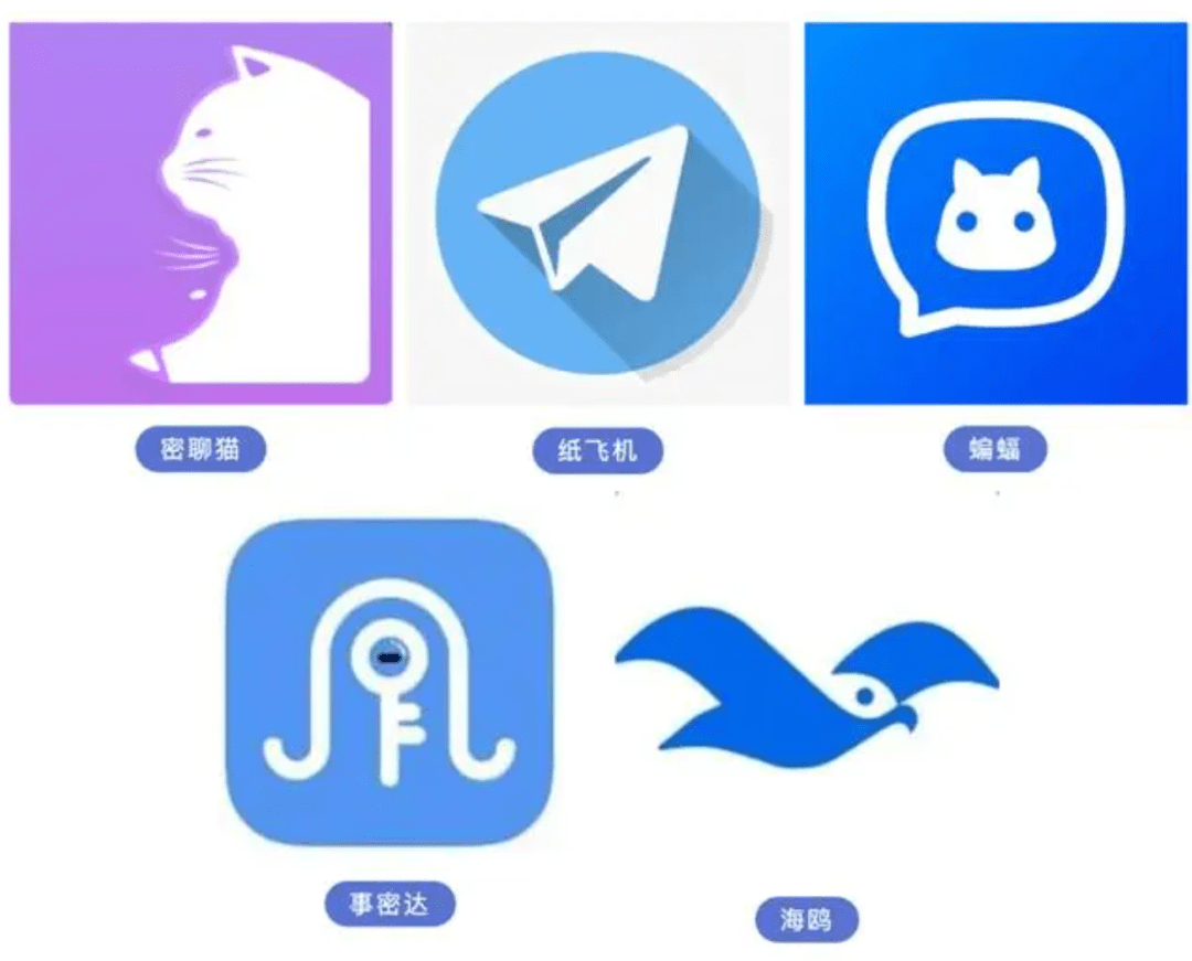 纸飞机app官网中文版-纸飞机app中文版下载v1