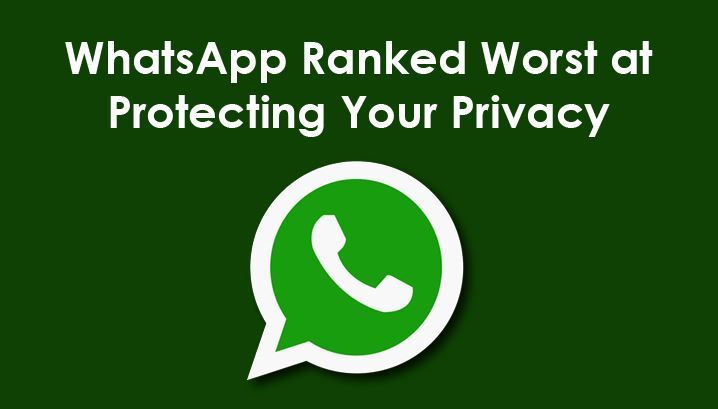 免费下载WhatsApp-免费下载whatsapp官网版