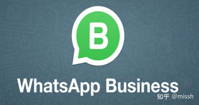 whatsapp苹果下载安装流程注册-whatsapp download ios