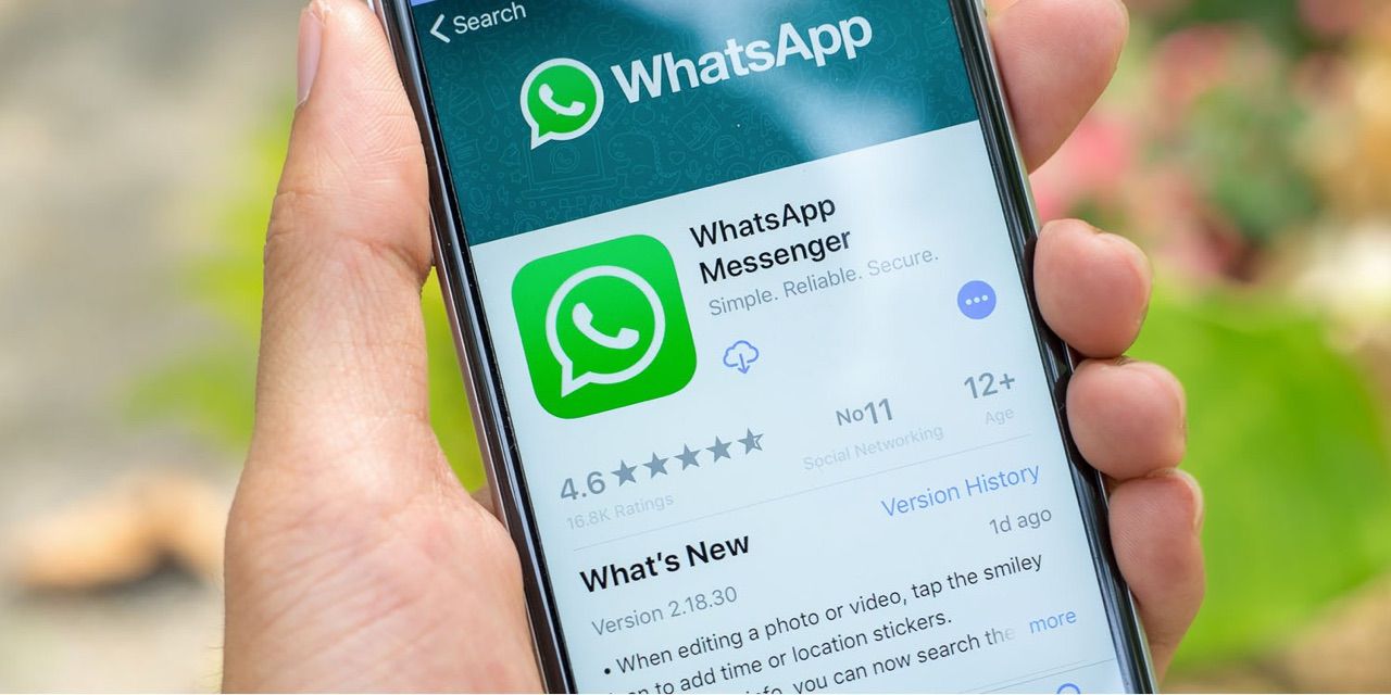 Whatsapp检索登录信息很久-whatsapp登录收不到验证码怎么办