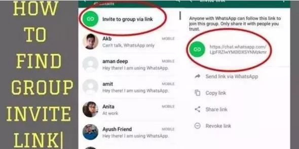 whatsapp聊天记录没有了-whatsapp聊天记录归档在哪里查看