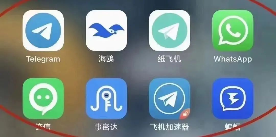 纸飞机聊天app下载-纸飞机聊天软件下载app