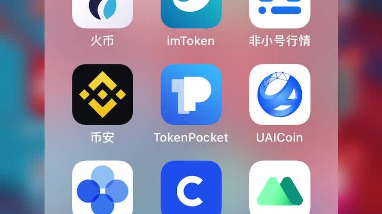 tokenpocket介绍-tokenpocket pig