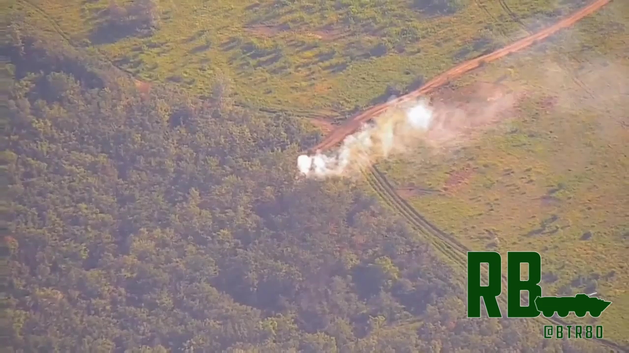 电报猿原声视频-电报猿原视频在线观看