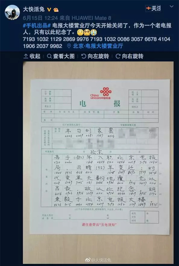 母鸟发电报声音-母鸟发电报声音提醒母鸟打斗视频