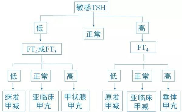 TGAb升高是什么意思的简单介绍