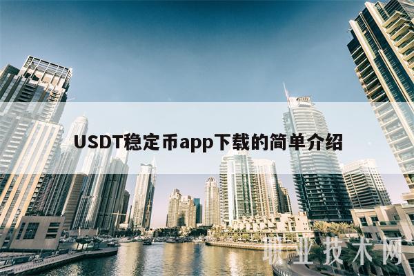 usdt钱包能用吗-usdt存在钱包哪个种类里