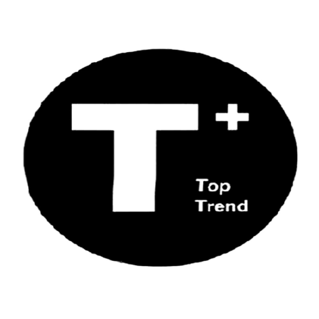 toptop下载安装-toptop普通下载app