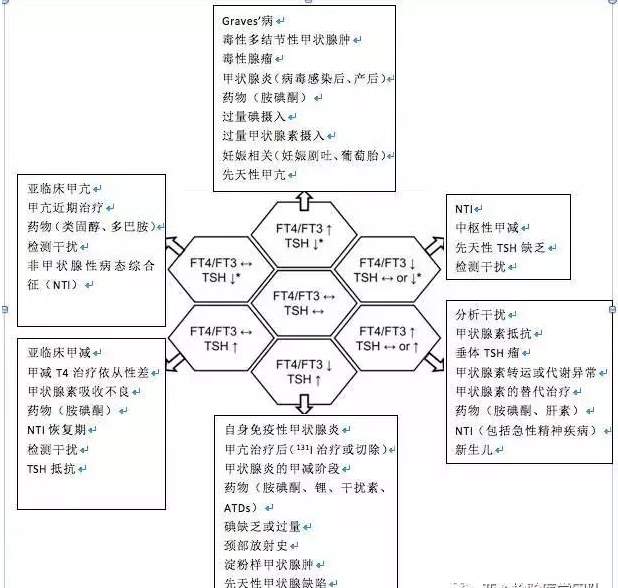 Tpo和TG升高-tpo升高有什么意义