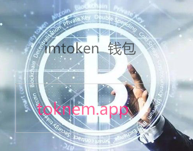 imToken免费版-imtoken下载网址