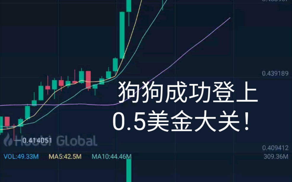 关于狗狗币历史价格表2020的信息