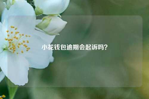 小花钱包是正规的吗-借款平台哪个正规利息低