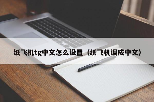 纸飞机ios设置中文-纸飞机苹果版怎么设置中文