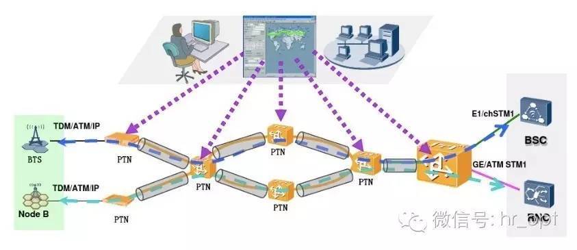 ptn币-ptn币价格