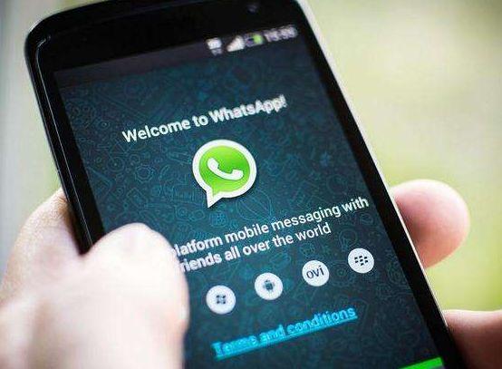 whatsapp无法接收验证码-whatsapp登陆收不到验证码