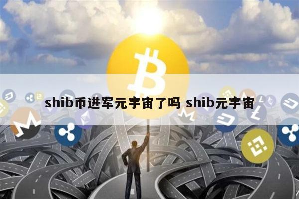 shib币未来能涨到一元吗-shib币未来能涨到一元吗是真的吗