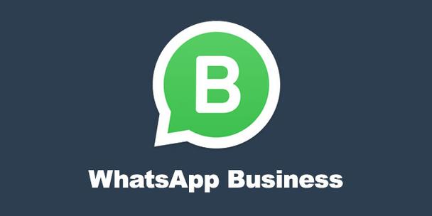 whatsappbusiness最新下载-whatsappbusiness安卓最新下载