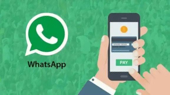 whatsapp哪个国家用-whatsapp那些国家用的多