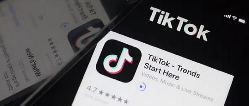 大陆如何注册tiktok-大陆如何注册google账号