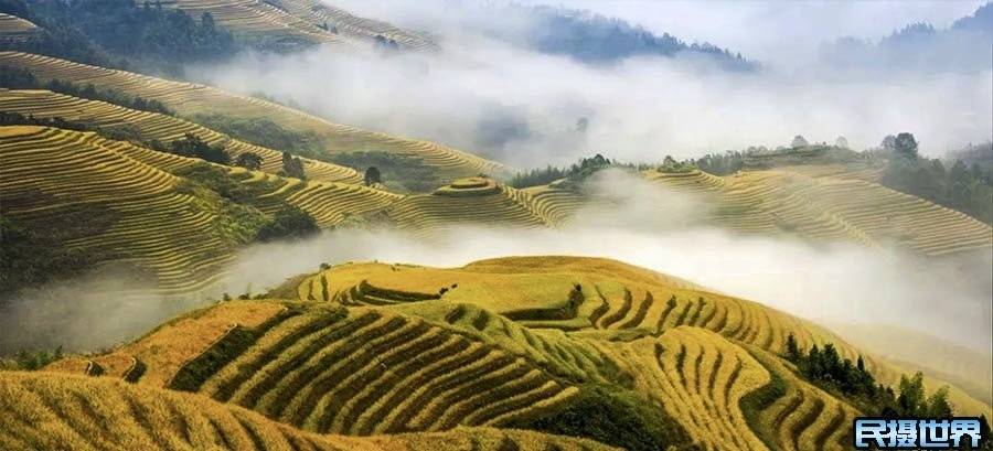 梯子于地面夹角要求出处-梯子与地面的夹角是多少度